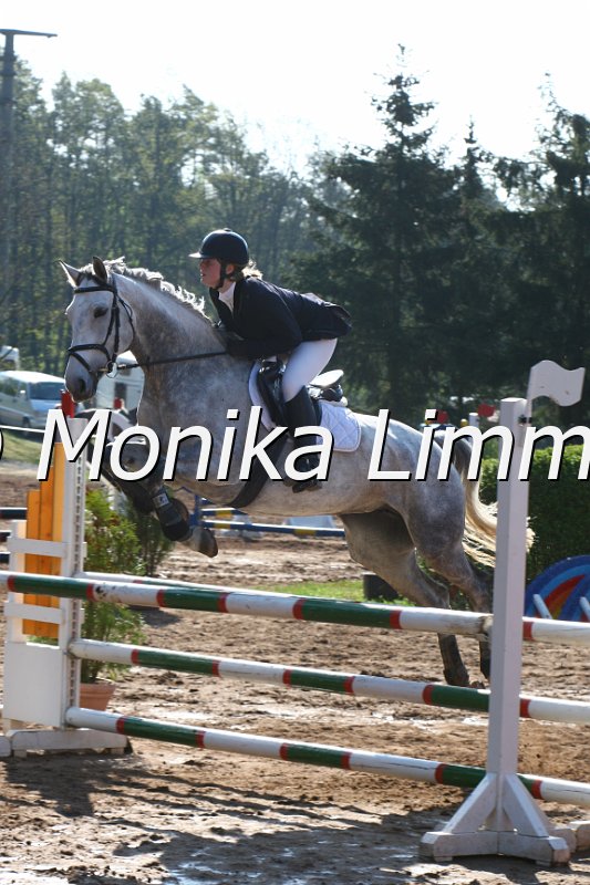 004M1411_Kalimba_Spring A.JPG